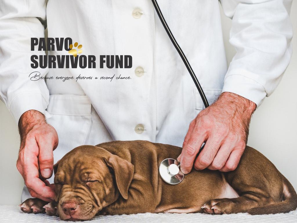Parvo Survivor Fund