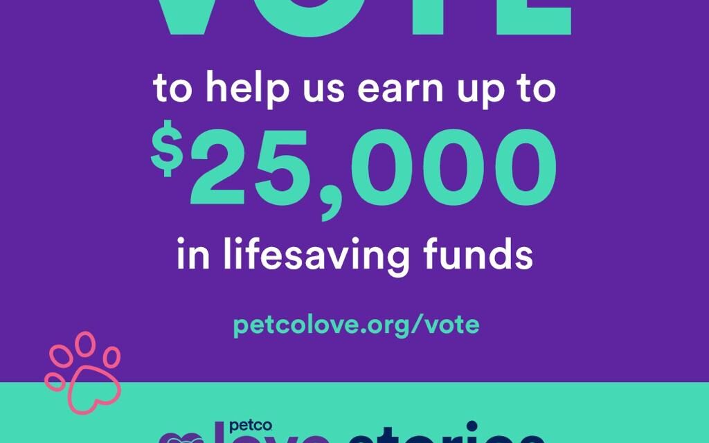 https://istandwithmypack.org/wp-content/uploads/2021/11/WhatsApp-Image-2021-11-30-at-8.56.59-PM-1024x640.jpeg