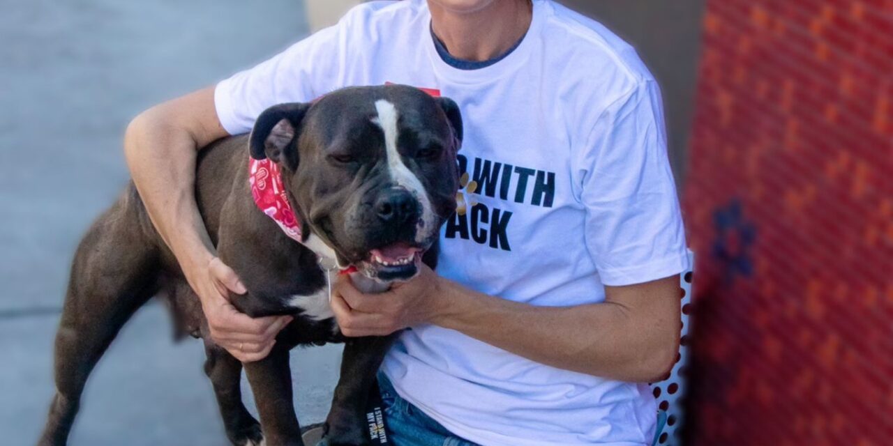https://istandwithmypack.org/wp-content/uploads/2022/11/3-BIG-Reasons-We-Should-Be-Grateful-For-Our-Dogs-This-Thanksgiving-square-1280x640.jpeg