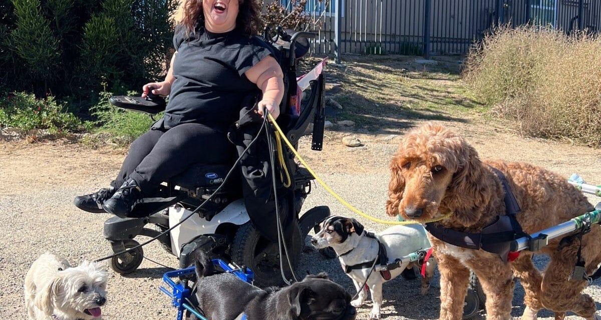 https://istandwithmypack.org/wp-content/uploads/2022/12/ISWMP-Pack-Walk-2022-1200x640.jpeg