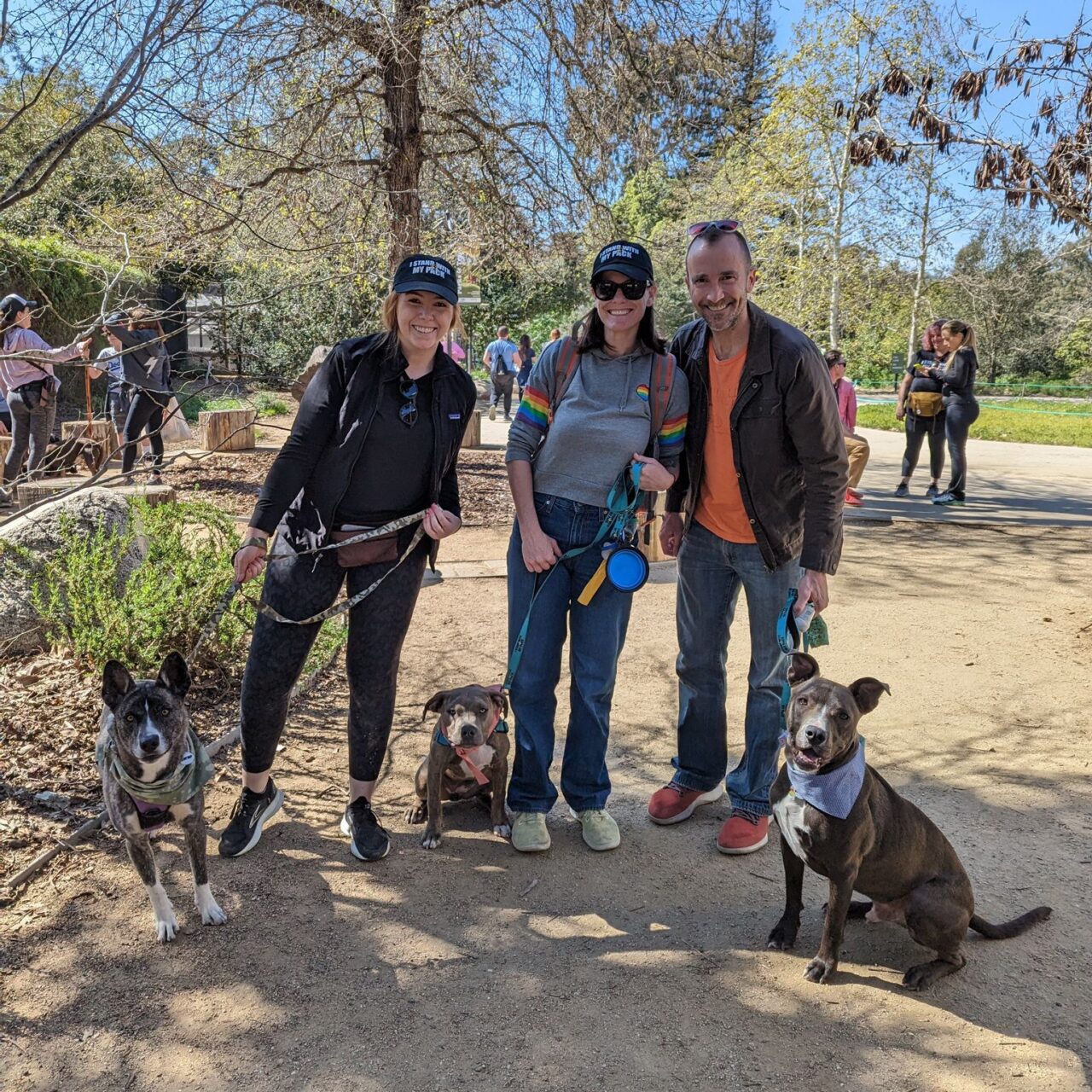 https://istandwithmypack.org/wp-content/uploads/2023/02/Lets-talk-about-ISWMP-Pack-Walks-2023-1280x1280.jpeg