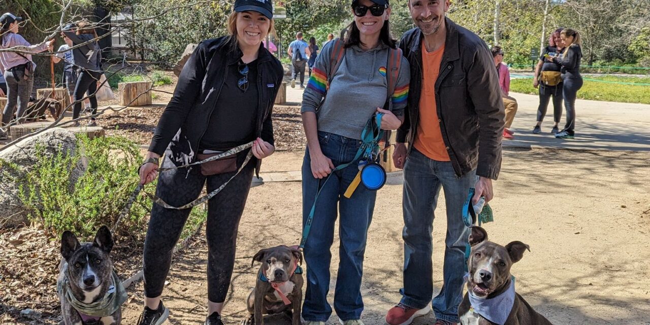 https://istandwithmypack.org/wp-content/uploads/2023/02/Lets-talk-about-ISWMP-Pack-Walks-2023-1280x640.jpeg