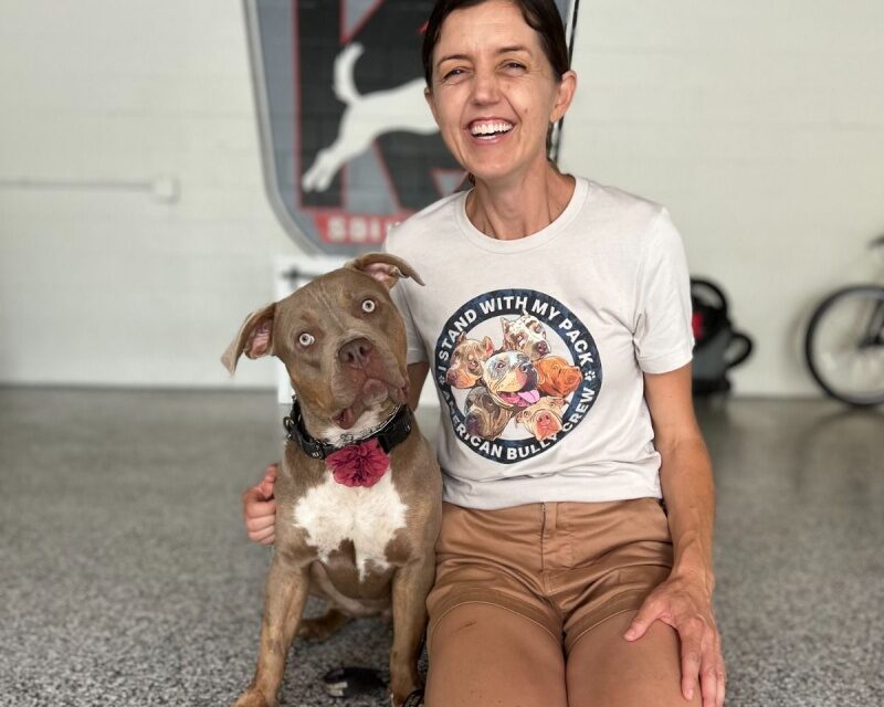 https://istandwithmypack.org/wp-content/uploads/2023/03/Neglected-Bully-Pup-Teaches-Her-Mom-The-Importance-Of-Resilience-2023-800x640.jpeg
