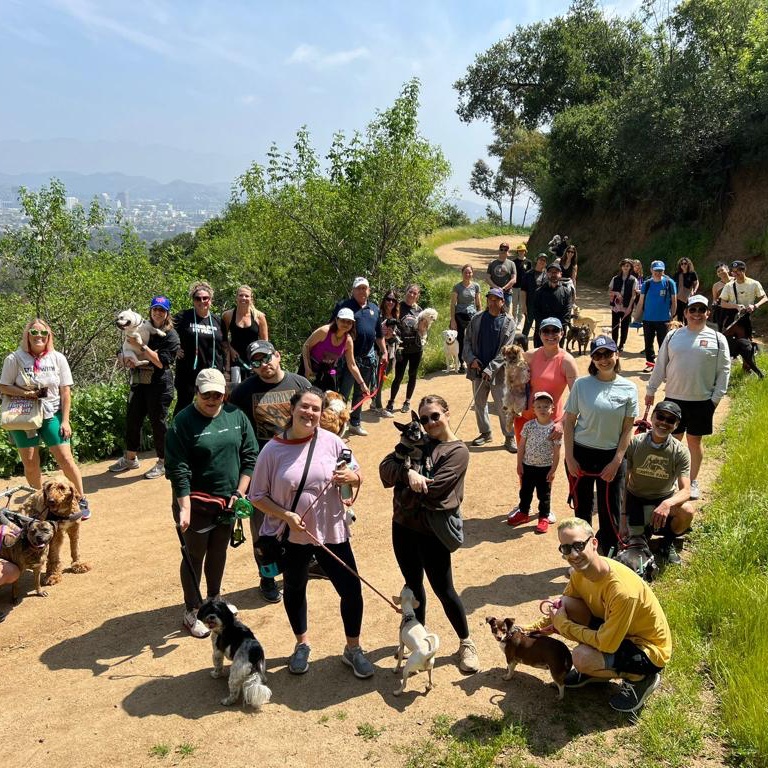 https://istandwithmypack.org/wp-content/uploads/2023/04/The-most-rewarding-Pack-Walk-Yet-3.jpeg