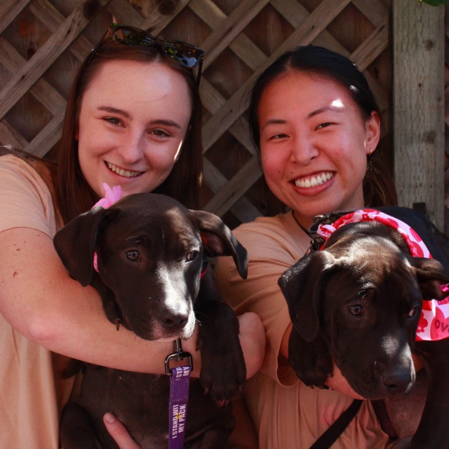https://istandwithmypack.org/wp-content/uploads/2024/02/Puppy-Love-is-in-the-Air-2024.jpeg