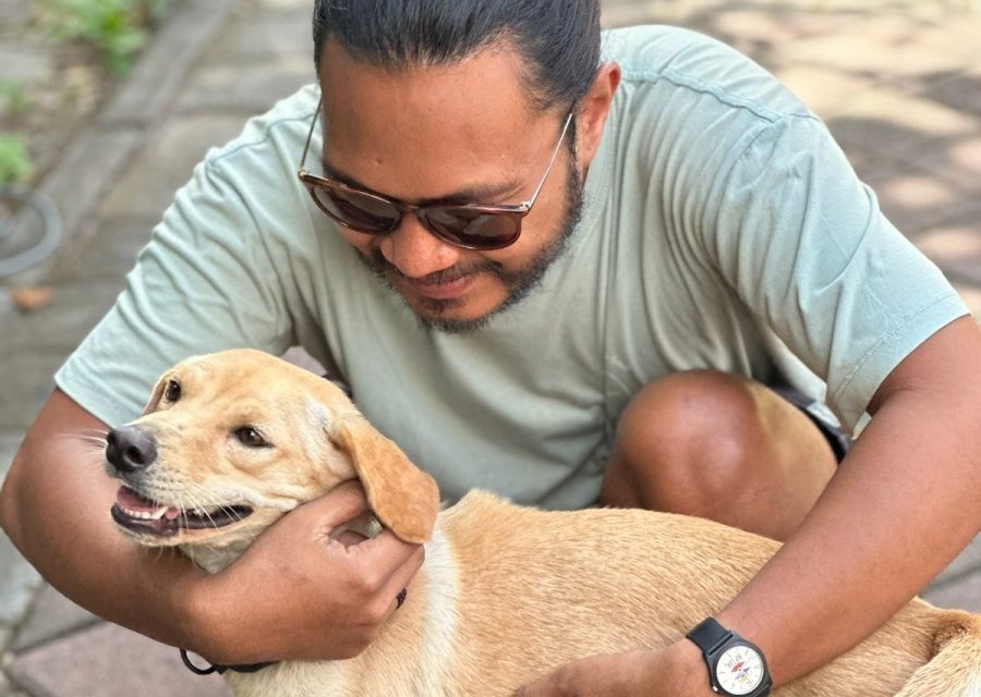 https://istandwithmypack.org/wp-content/uploads/2024/05/Third-Bali-Spay-and-Neuter-Clinic-8-900x640.jpeg