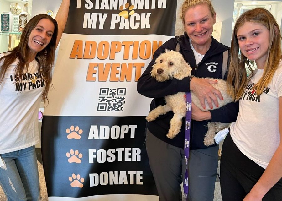 https://istandwithmypack.org/wp-content/uploads/2024/09/A-Wonderful-Adoption-Event-at-Jonathan-Adler-store-2024-900x640.jpeg