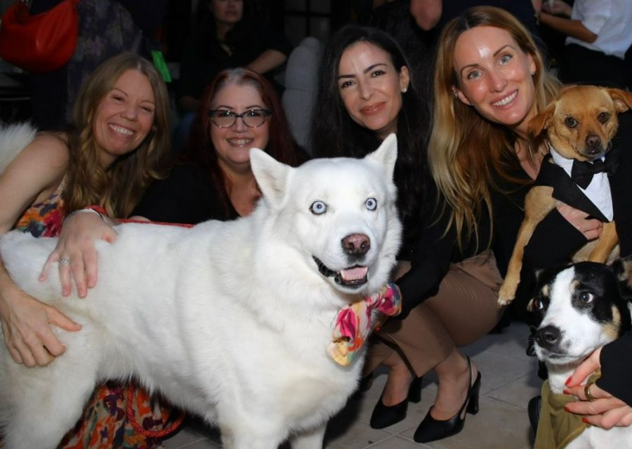 https://istandwithmypack.org/wp-content/uploads/2024/10/A-Memorable-Fundraising-Anniversary-Event-1-900x640.jpeg
