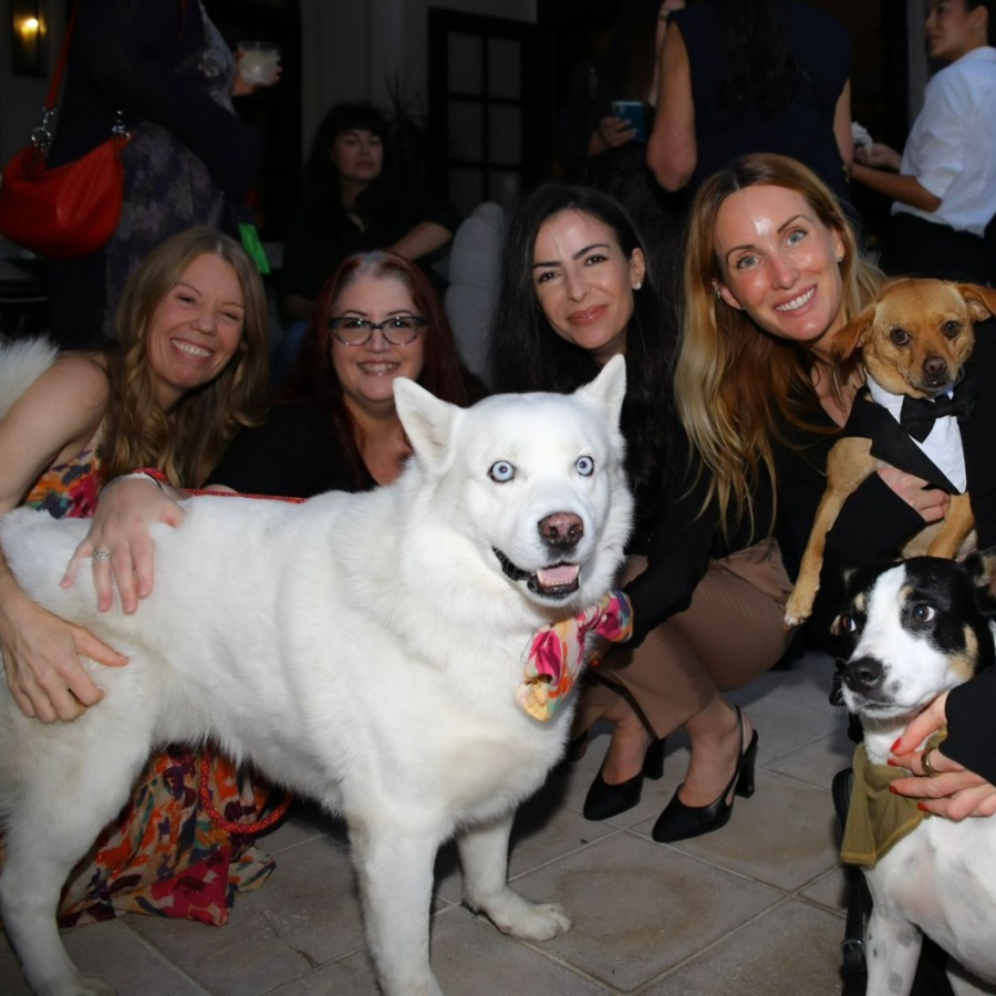 https://istandwithmypack.org/wp-content/uploads/2024/10/A-Memorable-Fundraising-Anniversary-Event-1.jpeg