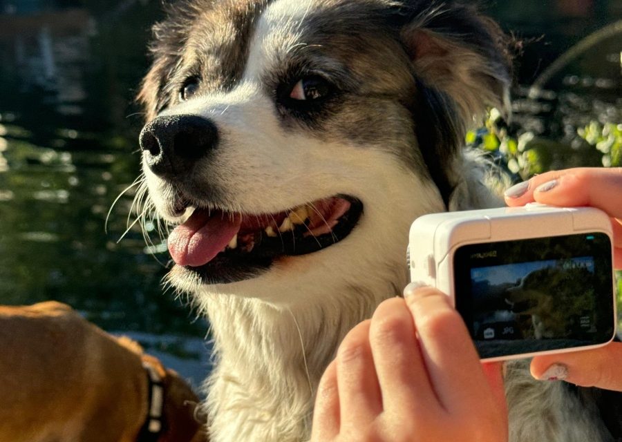 https://istandwithmypack.org/wp-content/uploads/2024/11/Pawtastic-Collaboration-Celebrating-National-Dog-Week-with-Insta-360-ISWMP-3-900x640.jpeg