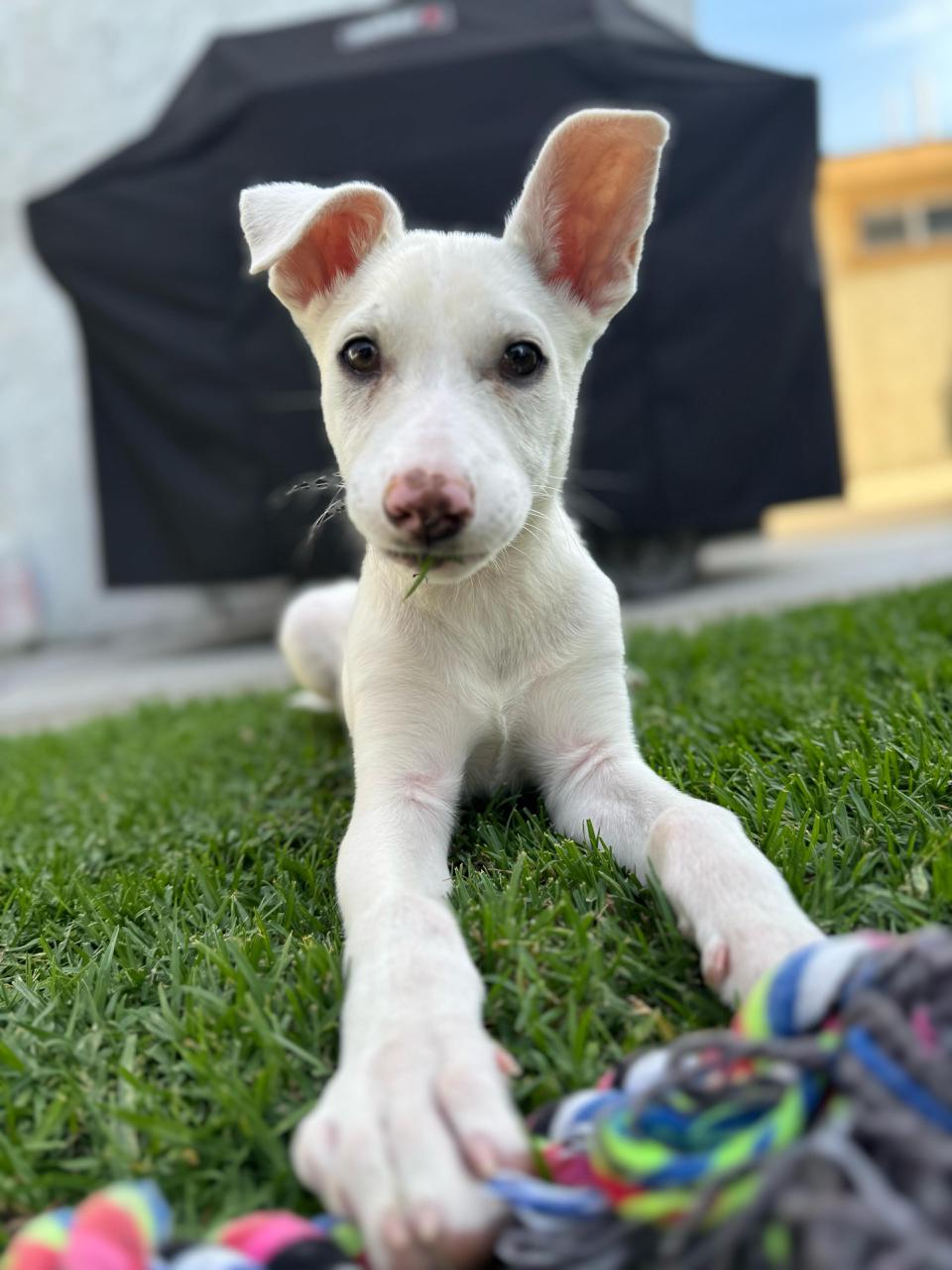 Martha Jane-1