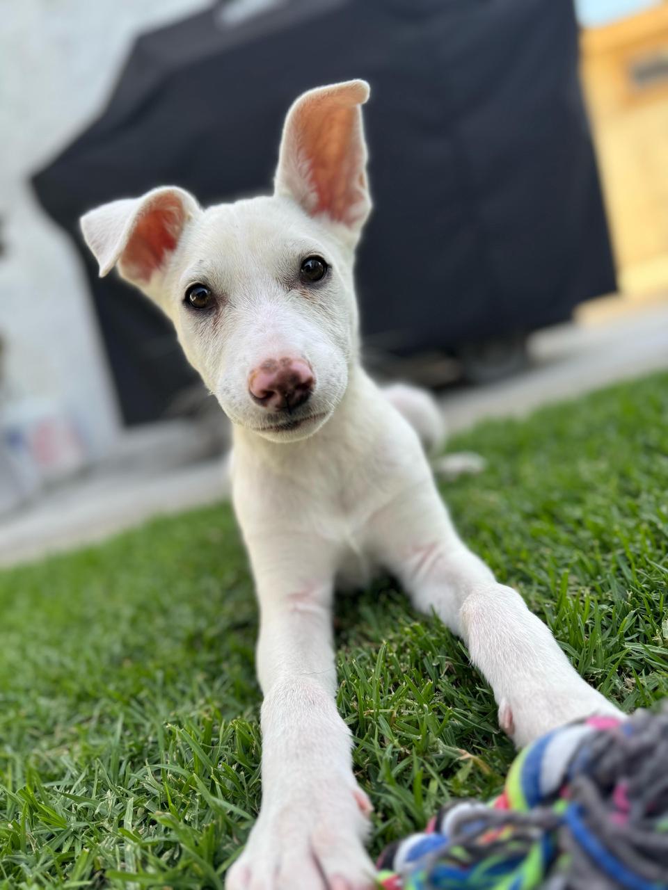 Martha Jane-2