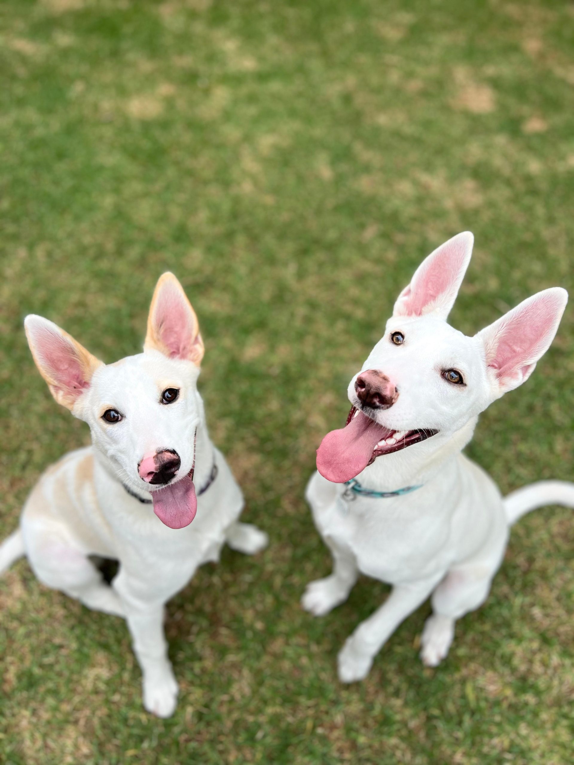 PHOTO-2025-09-17-21-42-32 2