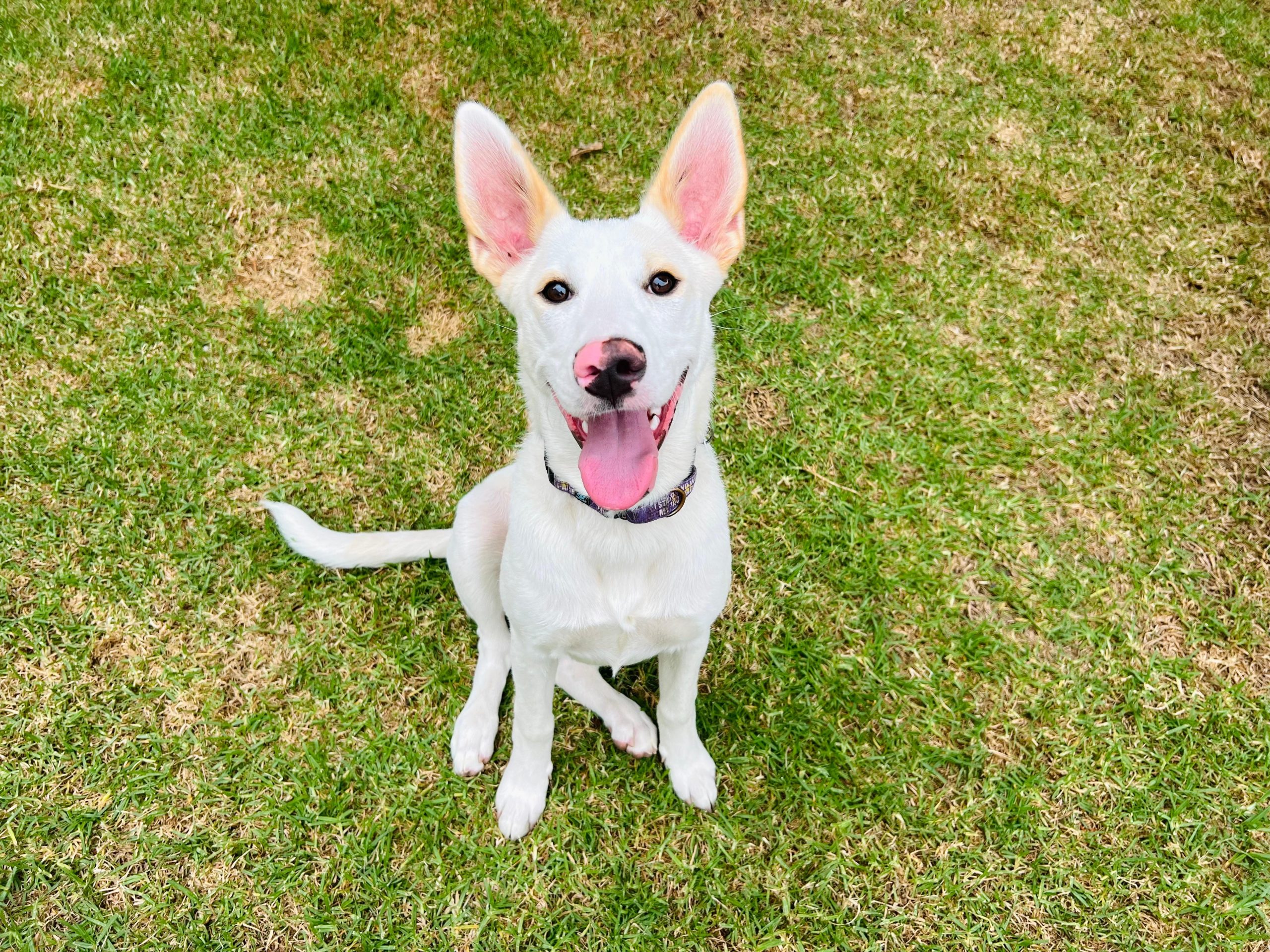 PHOTO-2025-09-17-21-42-32 4