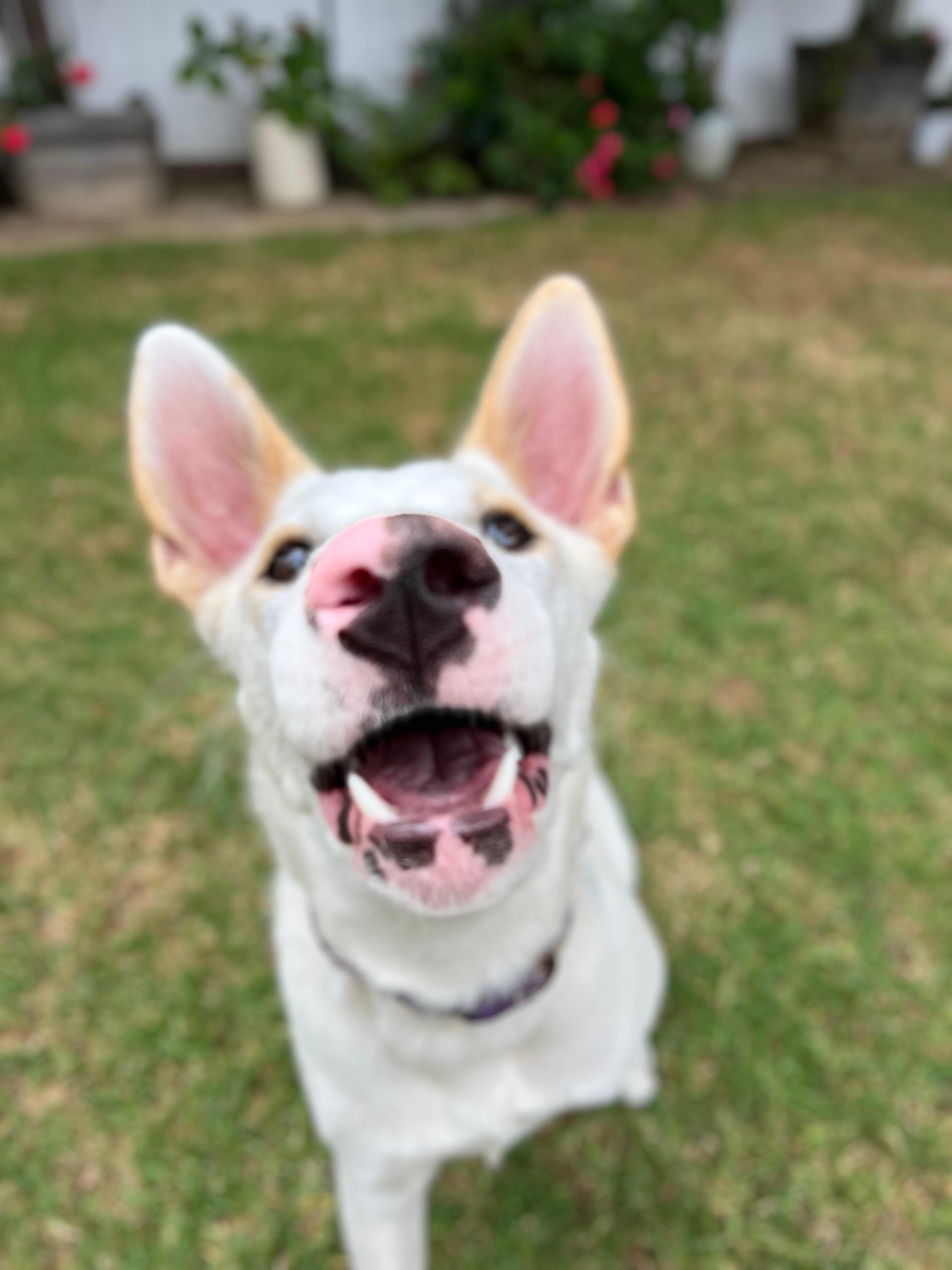 PHOTO-2025-09-17-21-42-32 5