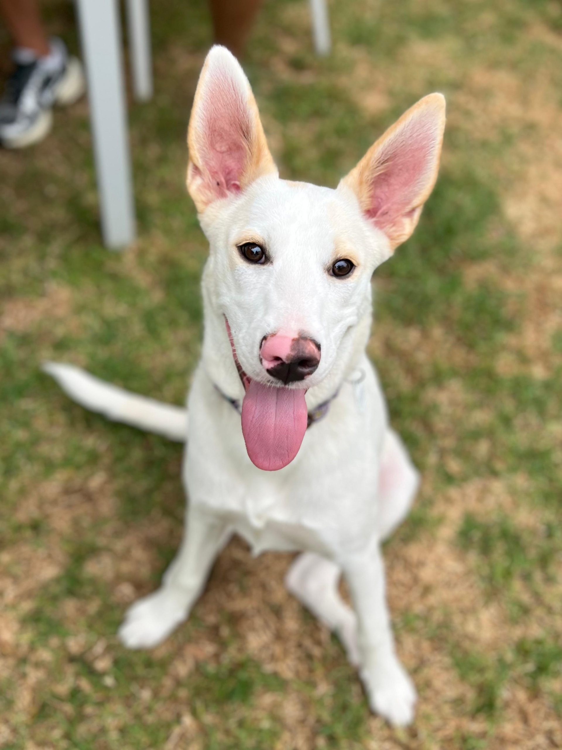 PHOTO-2025-09-17-21-42-32 6