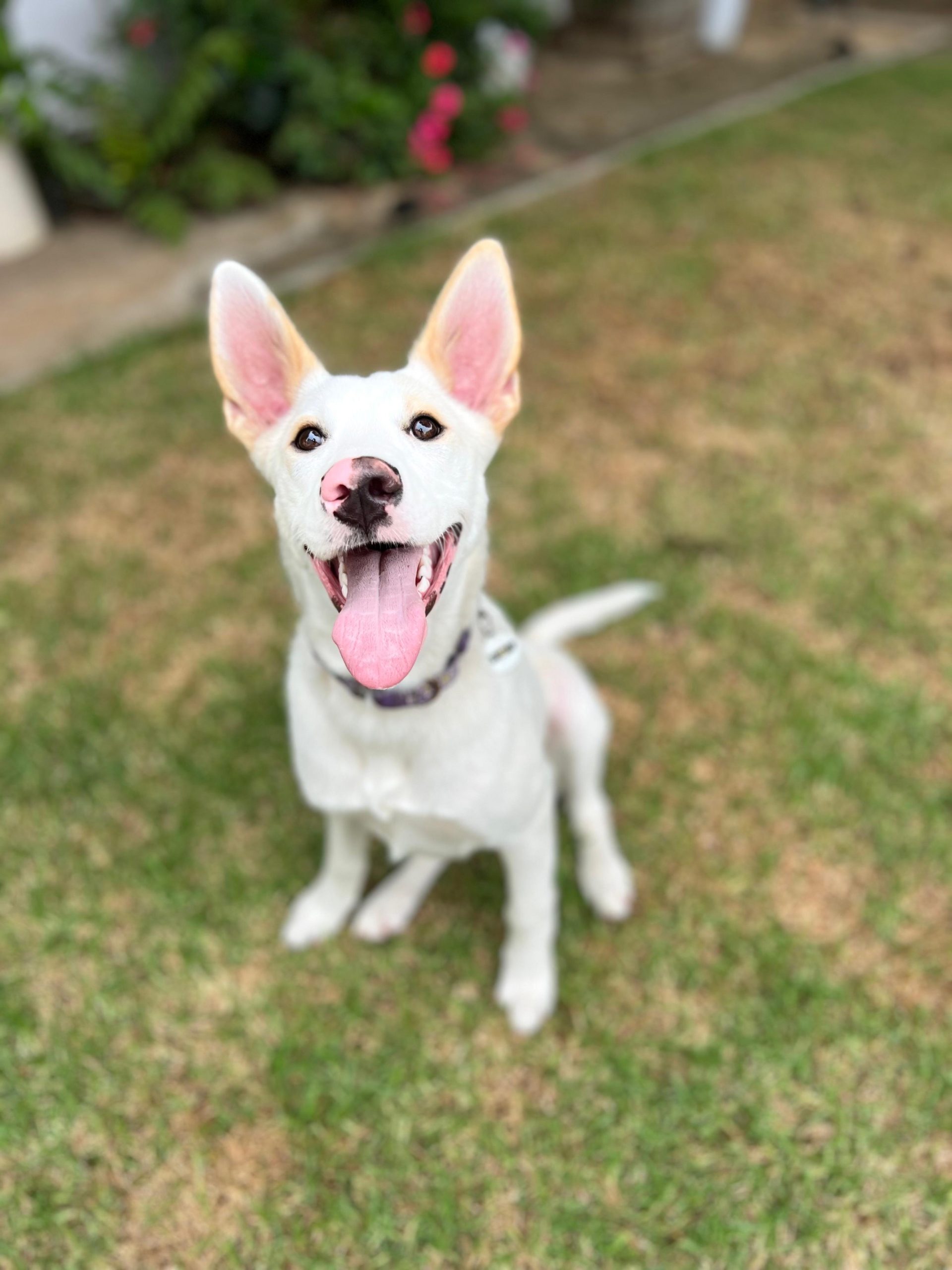 PHOTO-2025-09-17-21-42-32 7