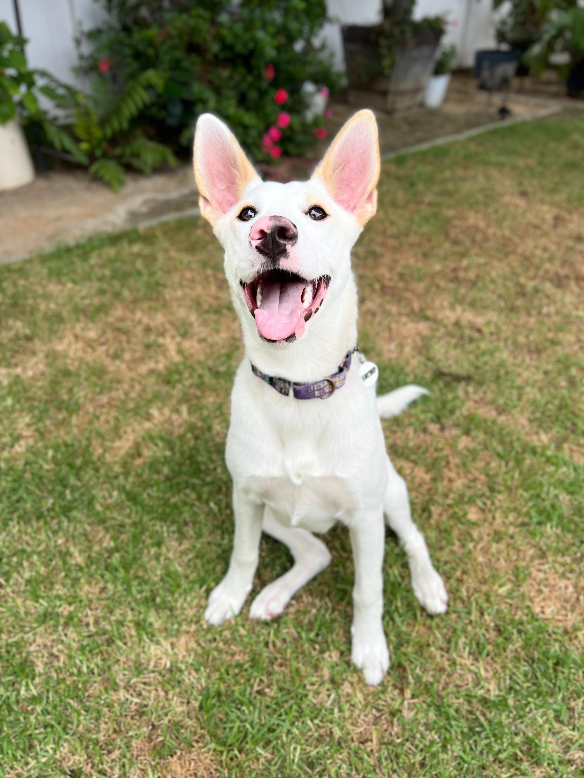 PHOTO-2025-09-17-21-42-32 8