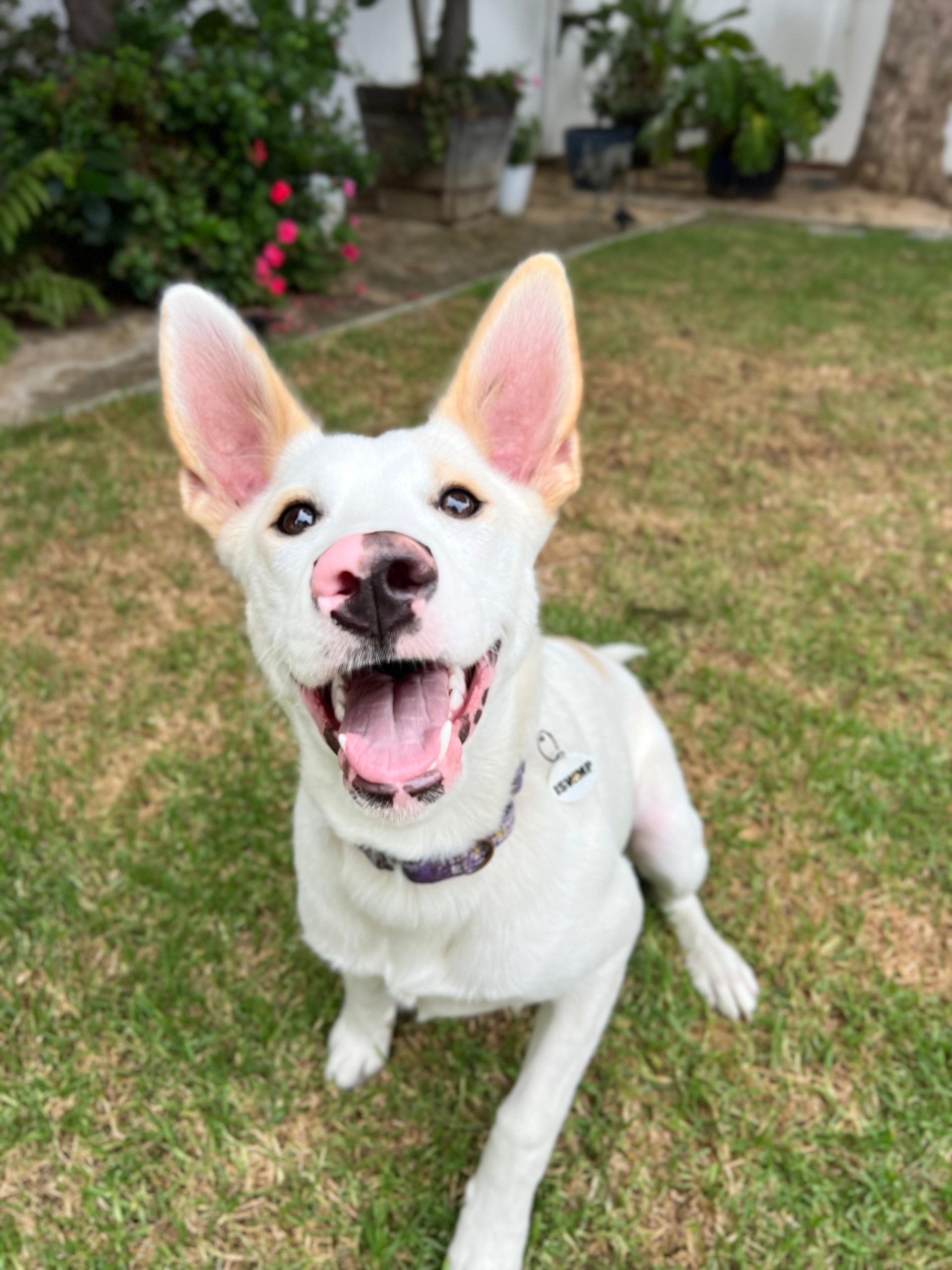 PHOTO-2025-09-17-21-42-32 9