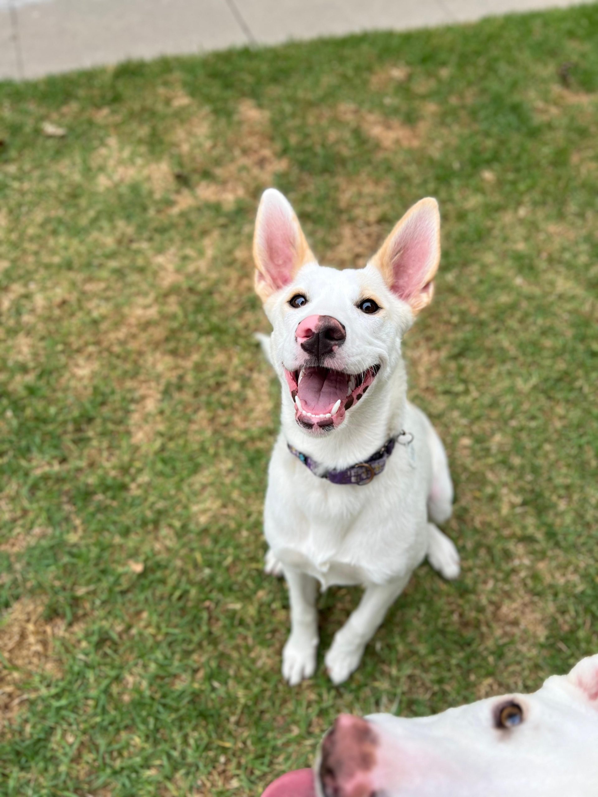 PHOTO-2025-09-17-21-42-32