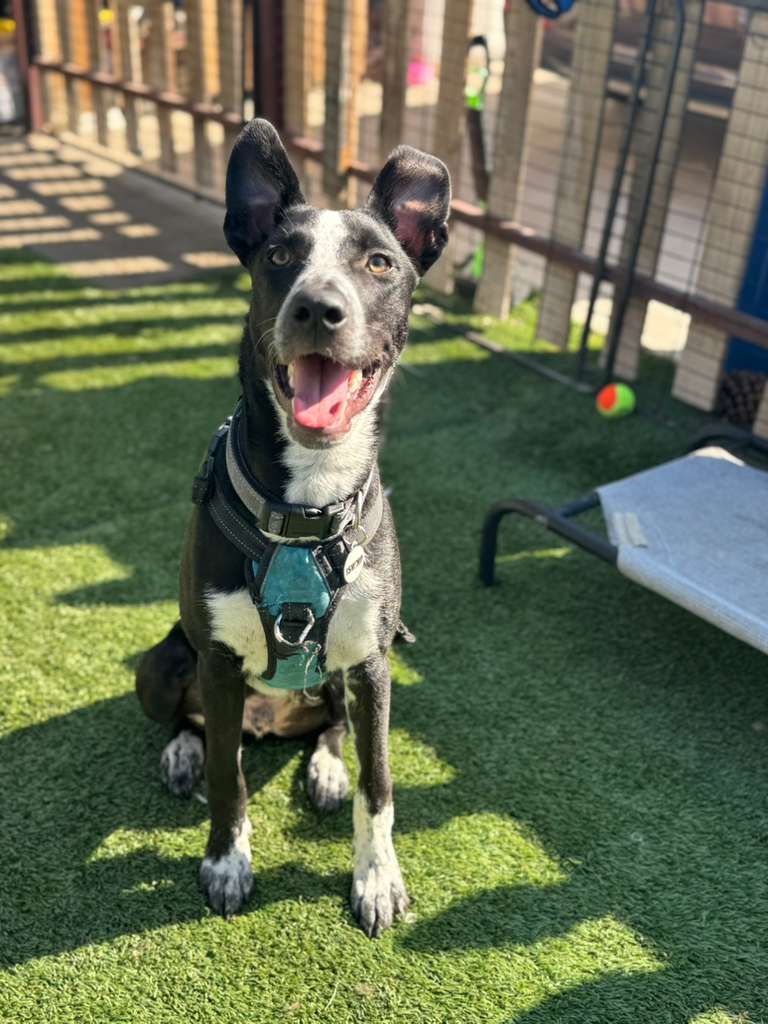 PHOTO-2025-11-10-11-58-03