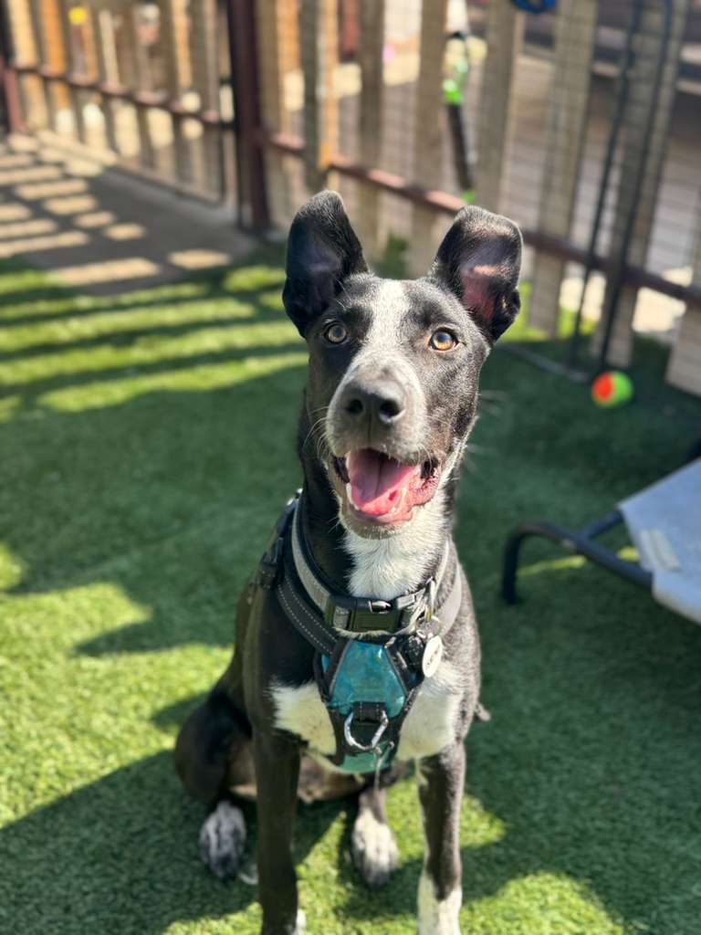 PHOTO-2025-11-10-11-58-05