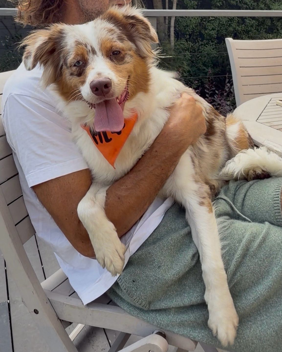 Bella-3