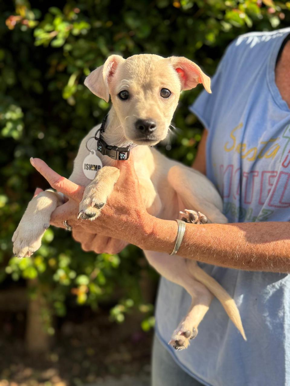 Haunted Hayride-1 Haunted Hayride-1