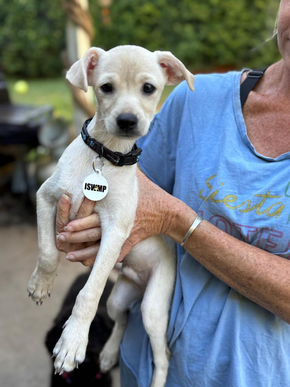 Haunted Hayride-2 Haunted Hayride-2