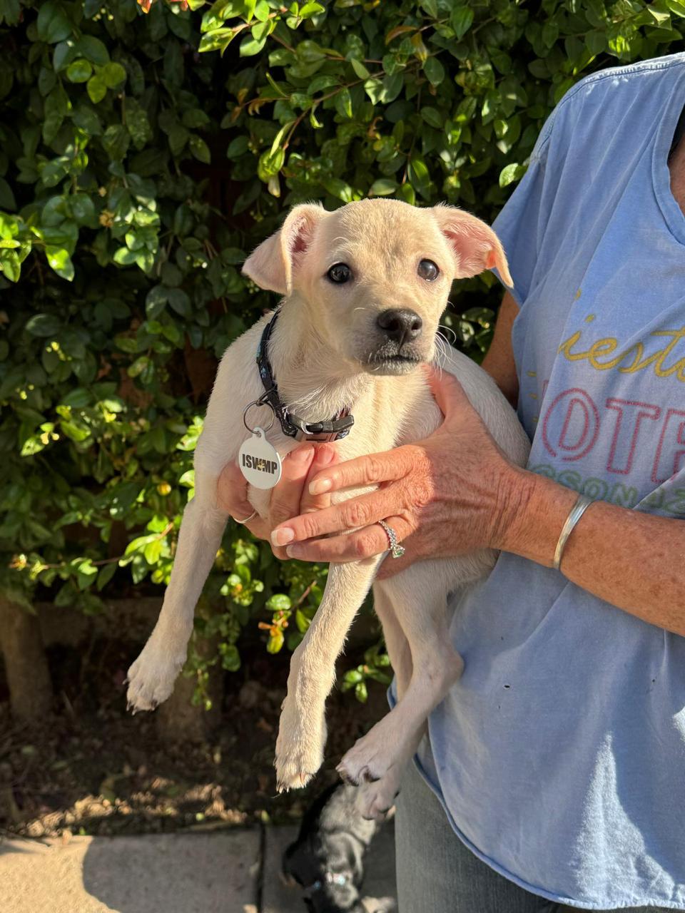 Haunted Hayride-5 Haunted Hayride-5