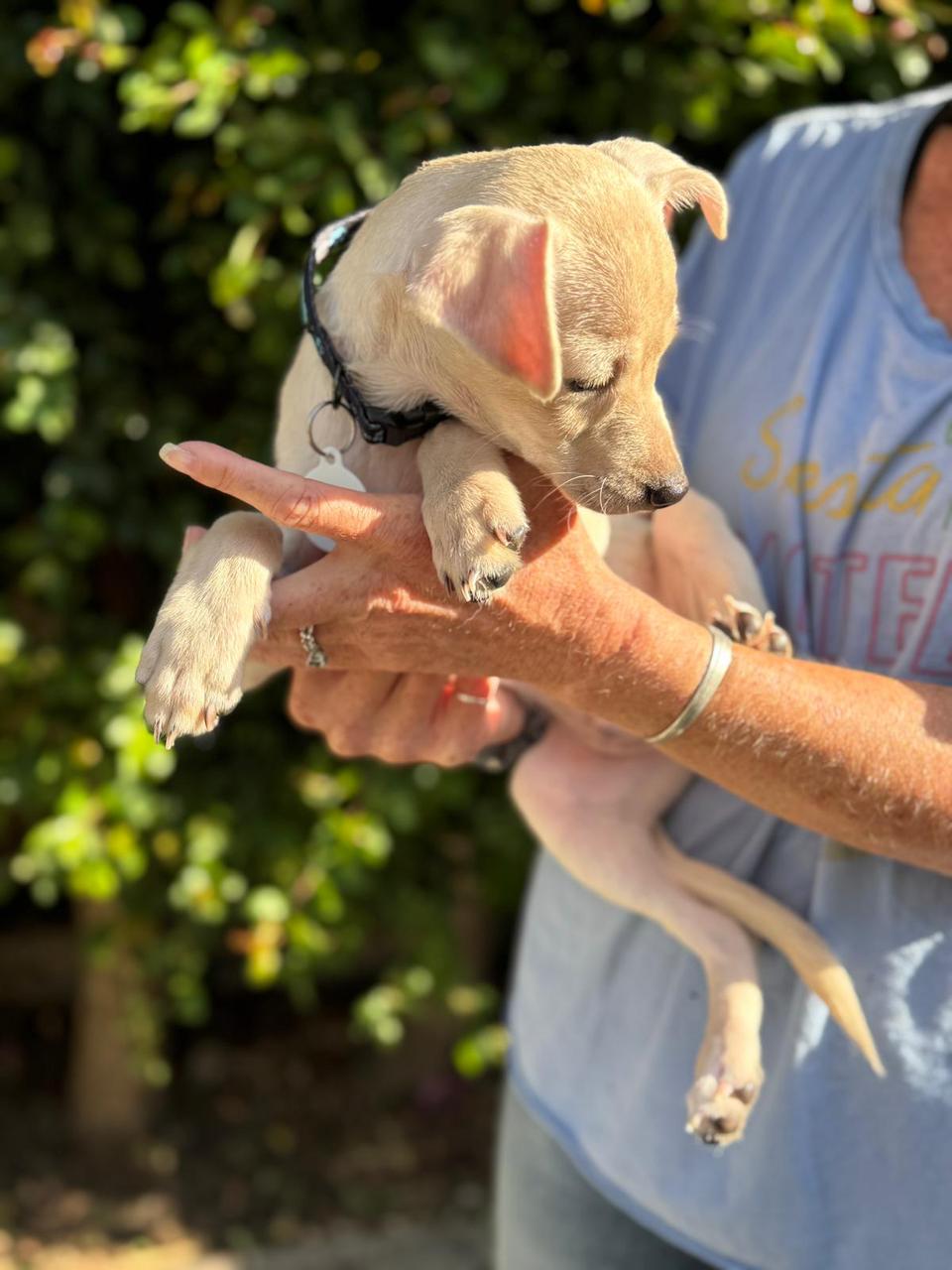 Haunted Hayride-6 Haunted Hayride-6