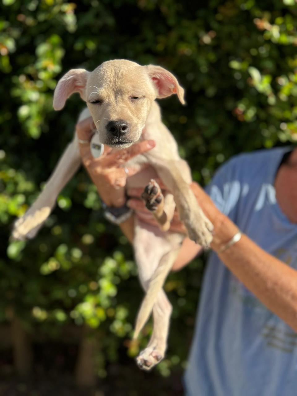 Haunted Hayride-7 Haunted Hayride-7