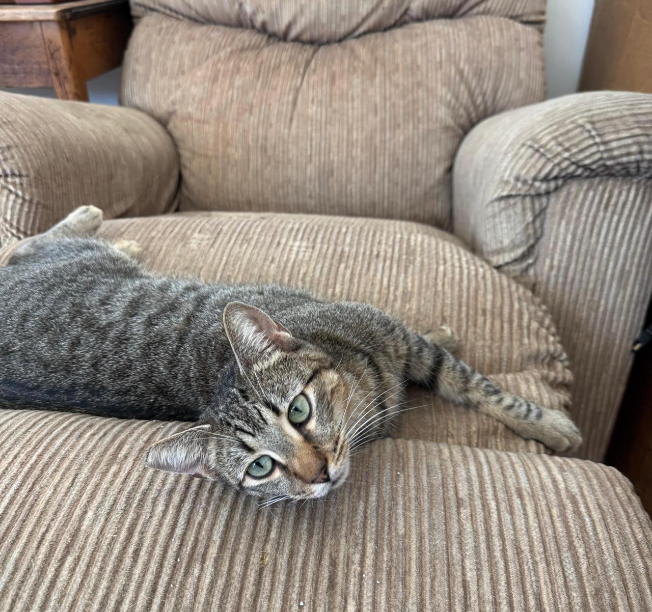 Sabrina New-2 Sabrina New-2