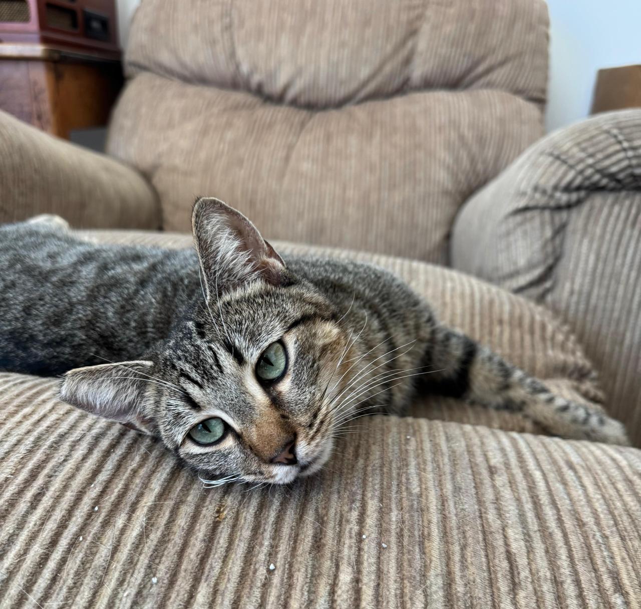 Sabrina New-3 Sabrina New-3