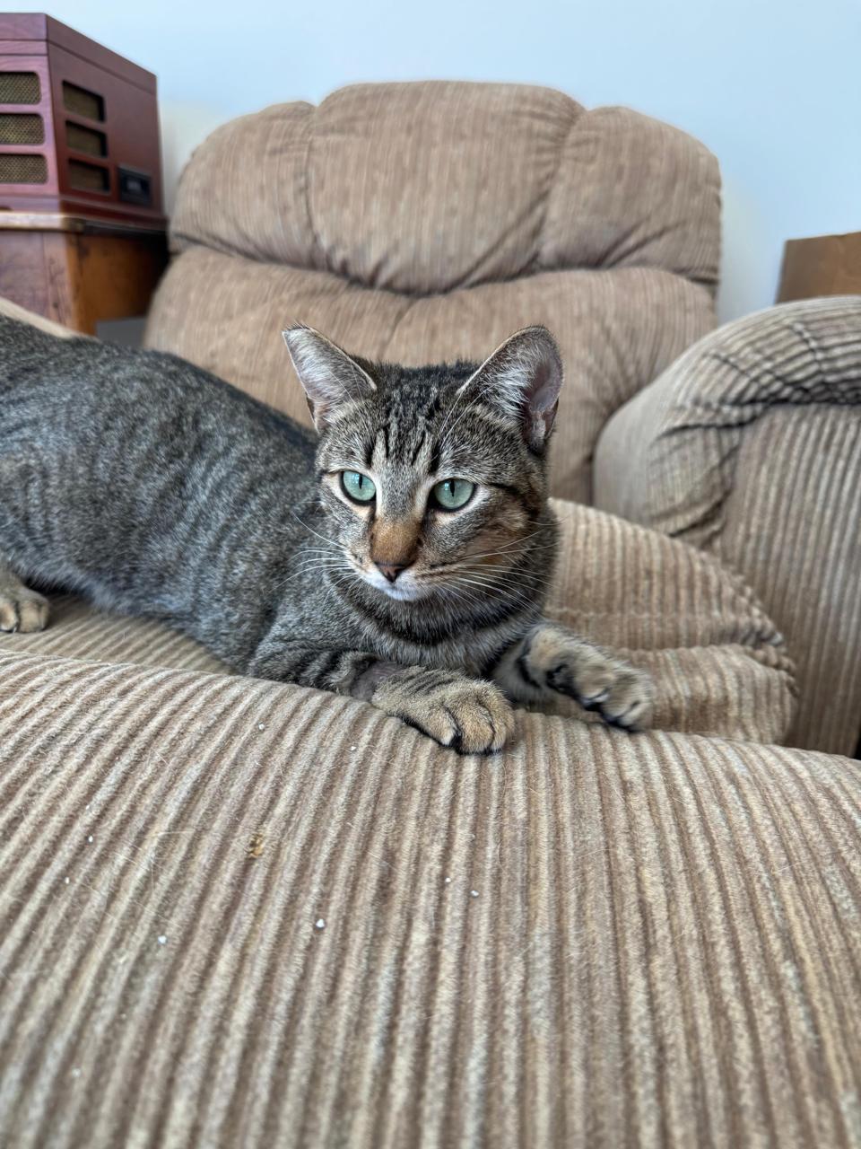 Sabrina New-5 Sabrina New-5