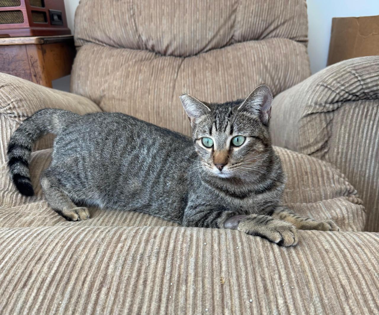 Sabrina New-6 Sabrina New-6