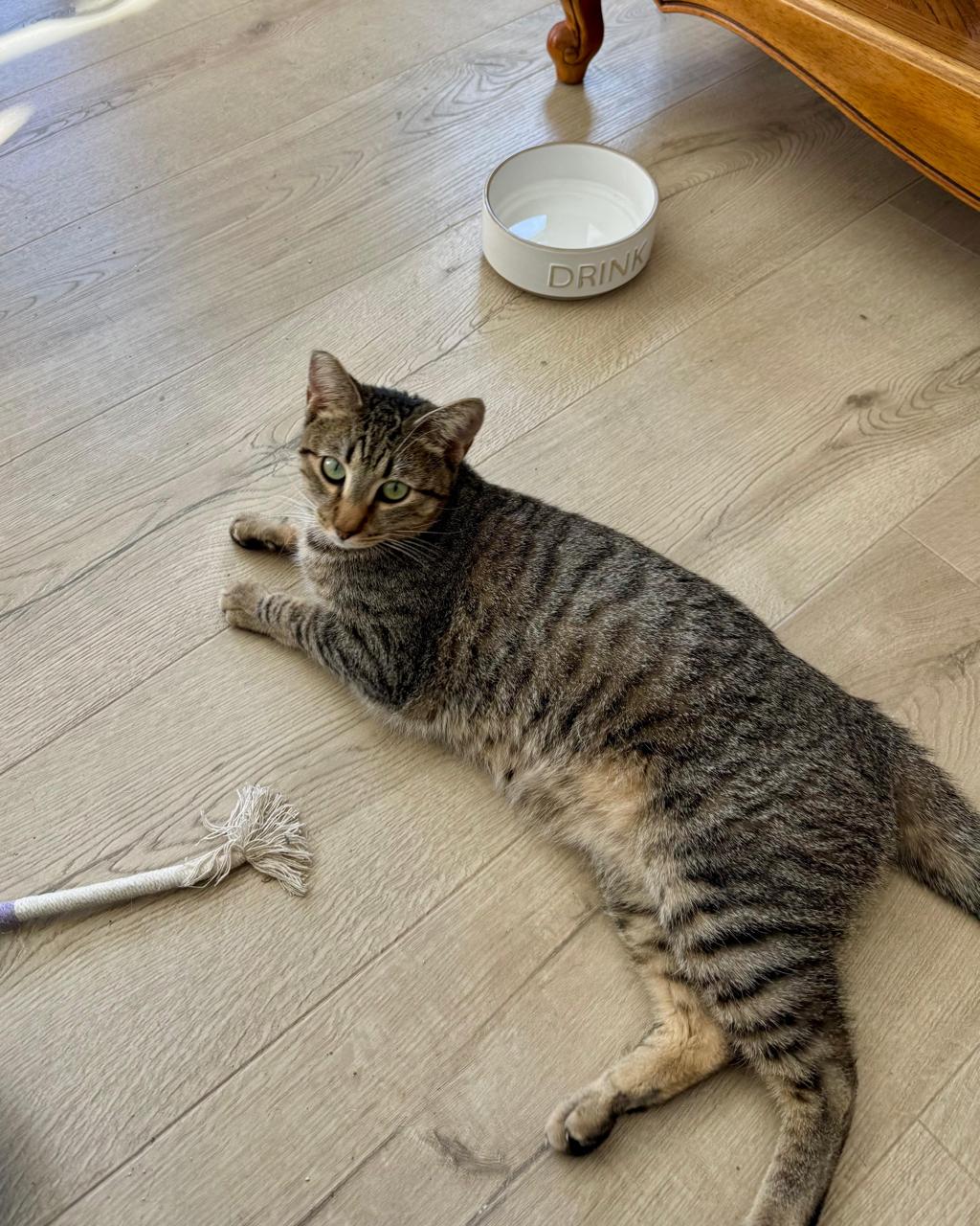 Sabrina New-7 Sabrina New-7