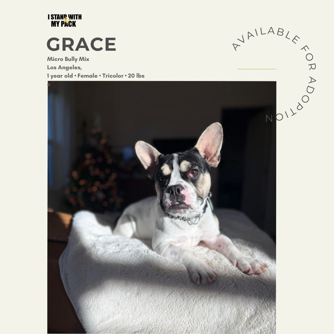 Grace-1 Grace-1