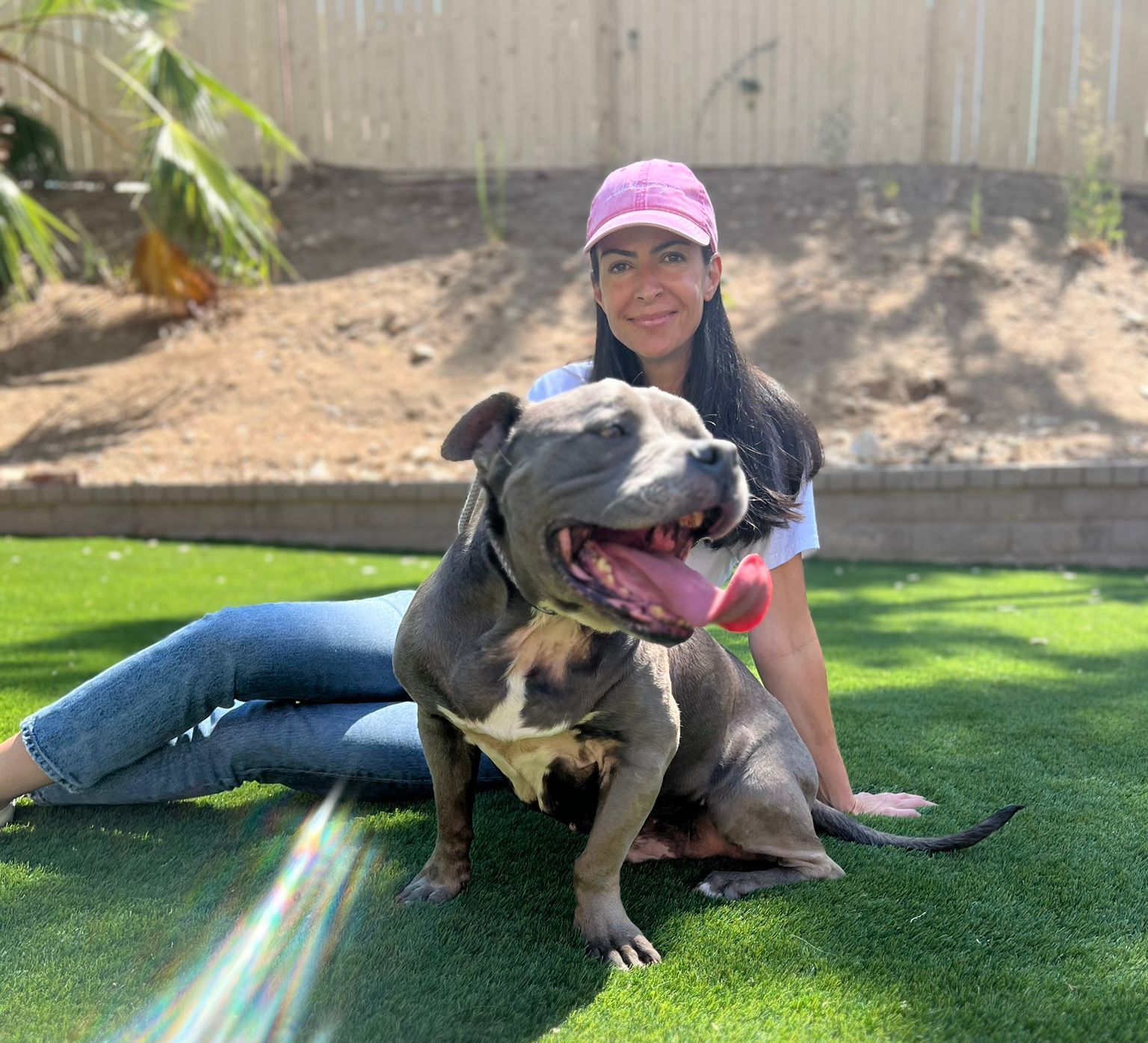 ISWMP-New Homepage 1