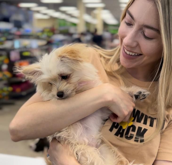 ISWMP-New Homepage 2