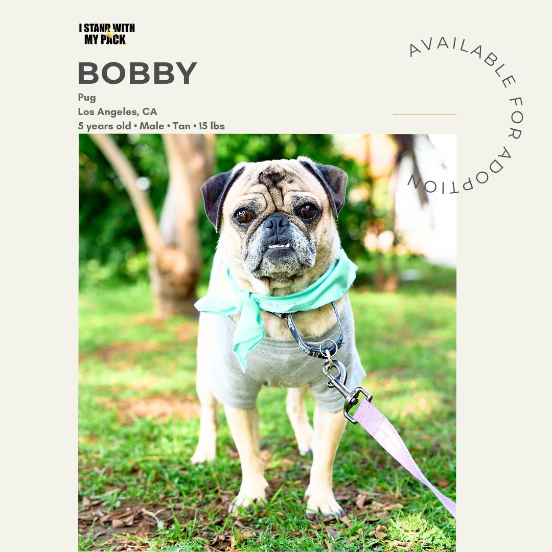 Bobby-1
