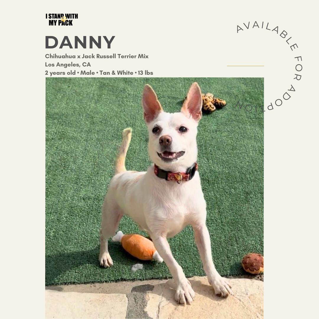 Danny-1