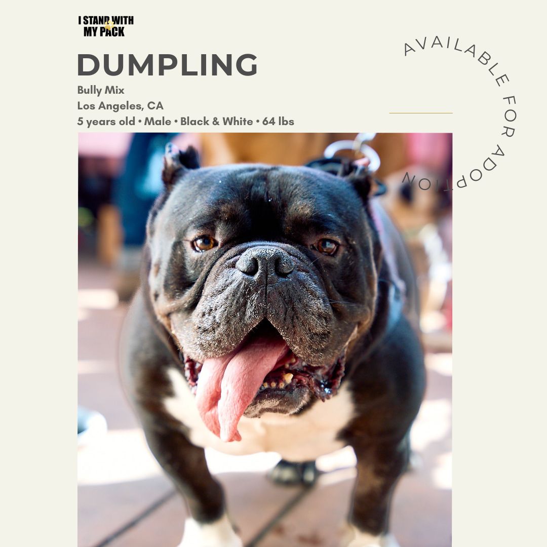 Dumpling-1