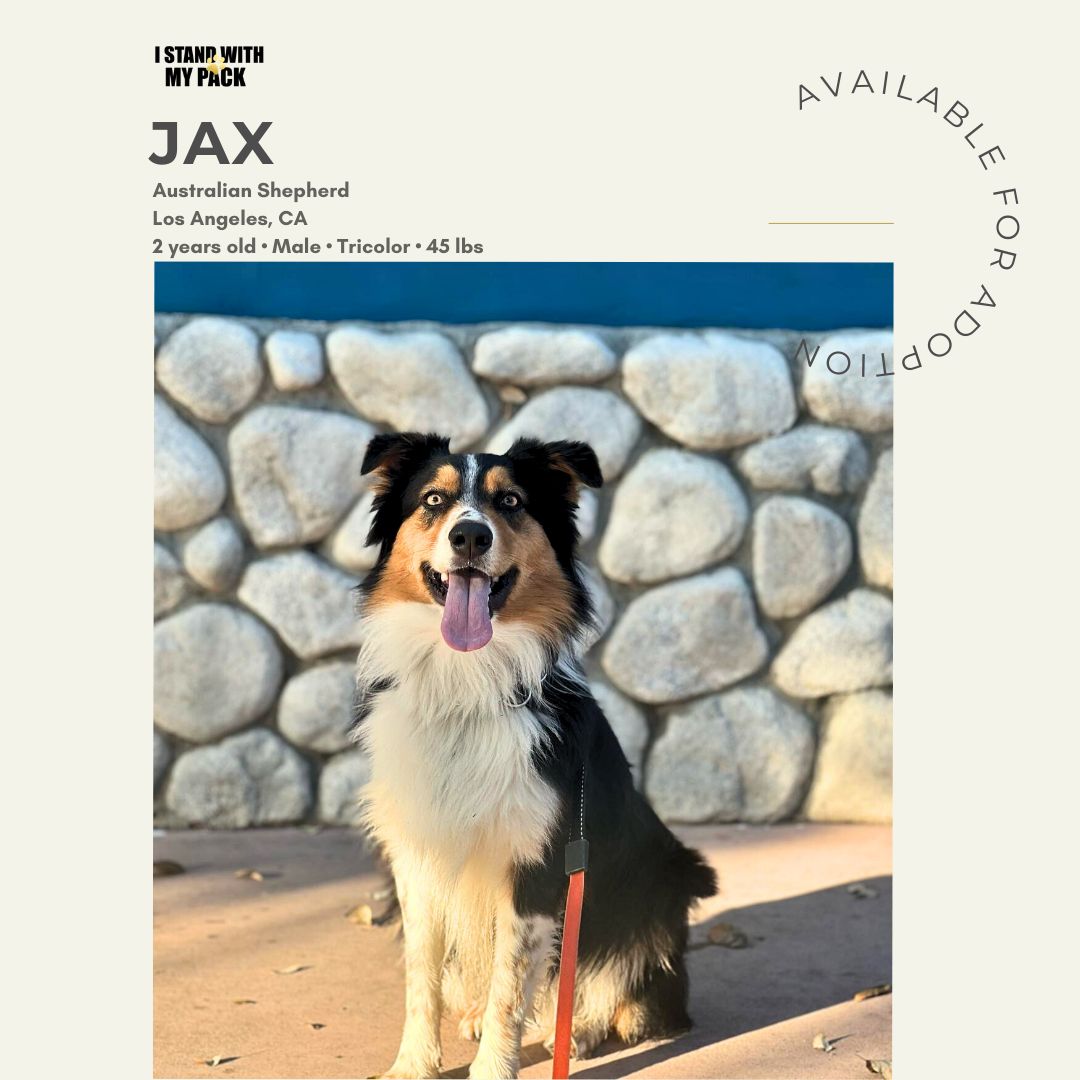 Jax-1