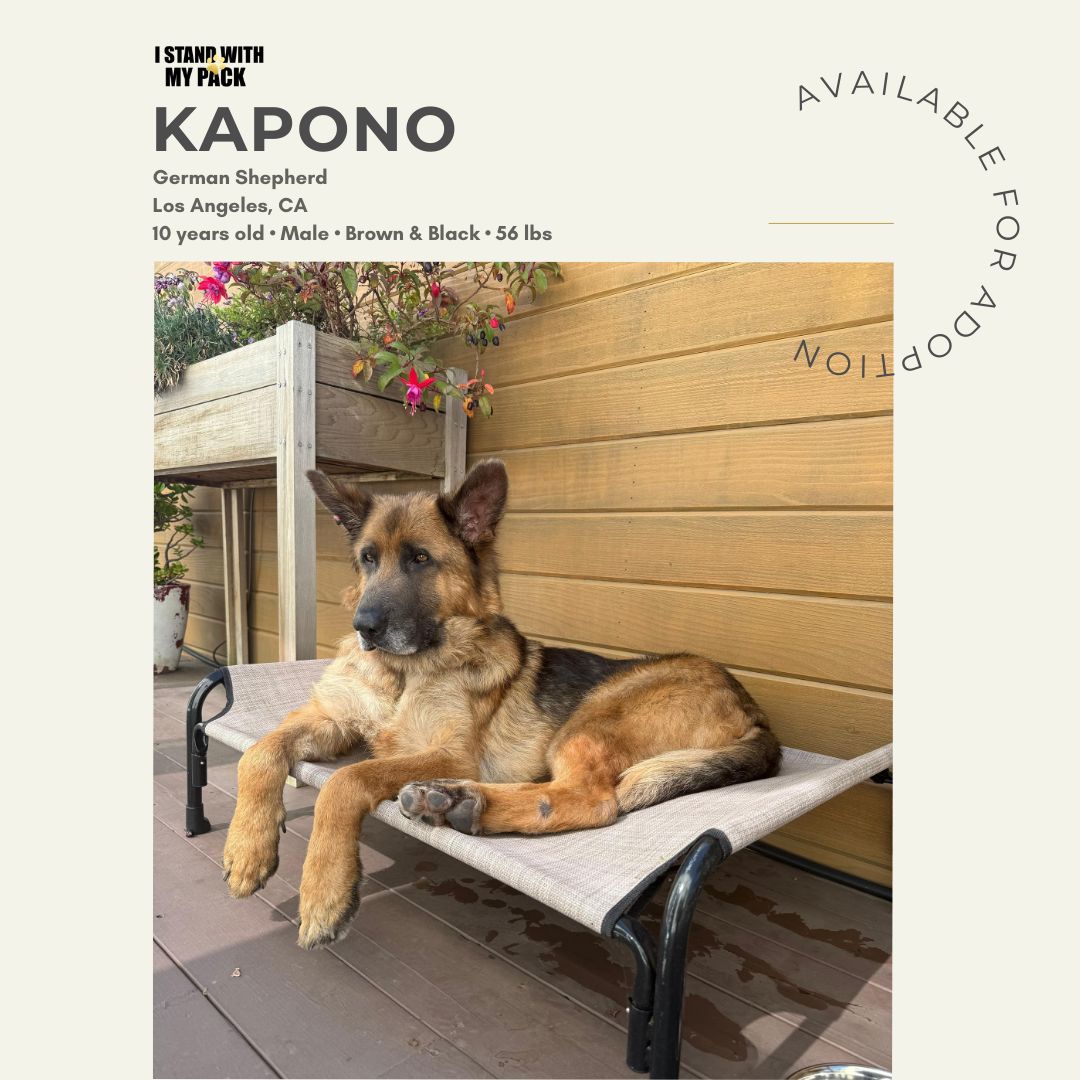 Kapono New-1