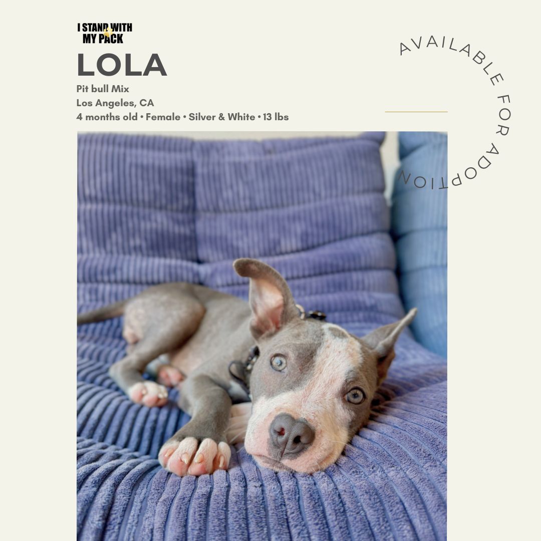 Lola New-1