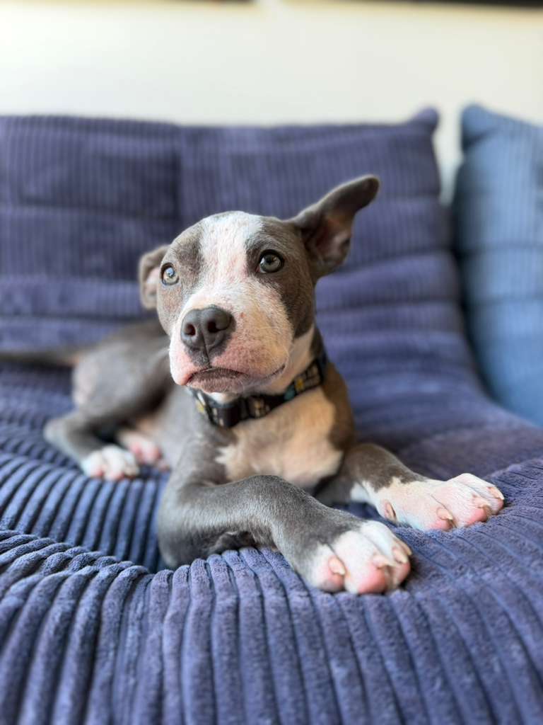 PHOTO-2026-03-18-23-34-26 2