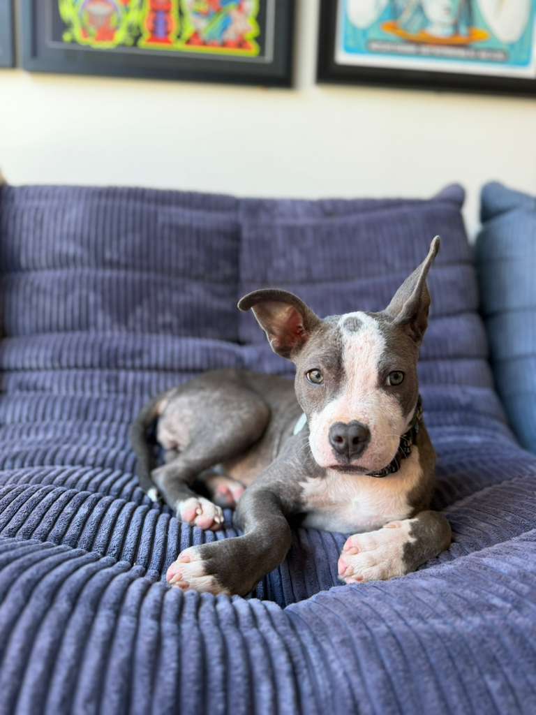 PHOTO-2026-03-18-23-34-26 3