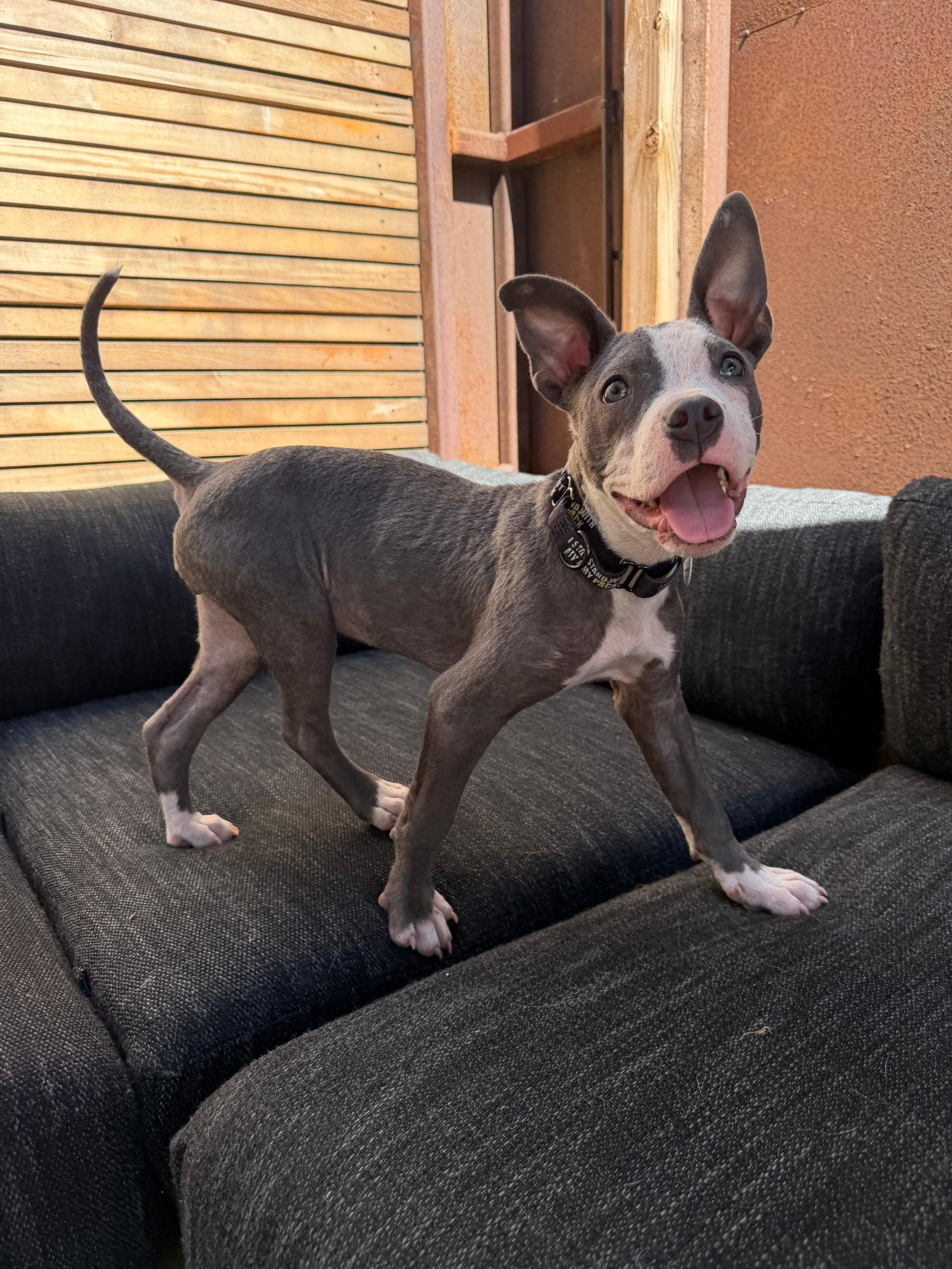 PHOTO-2026-03-18-23-35-04