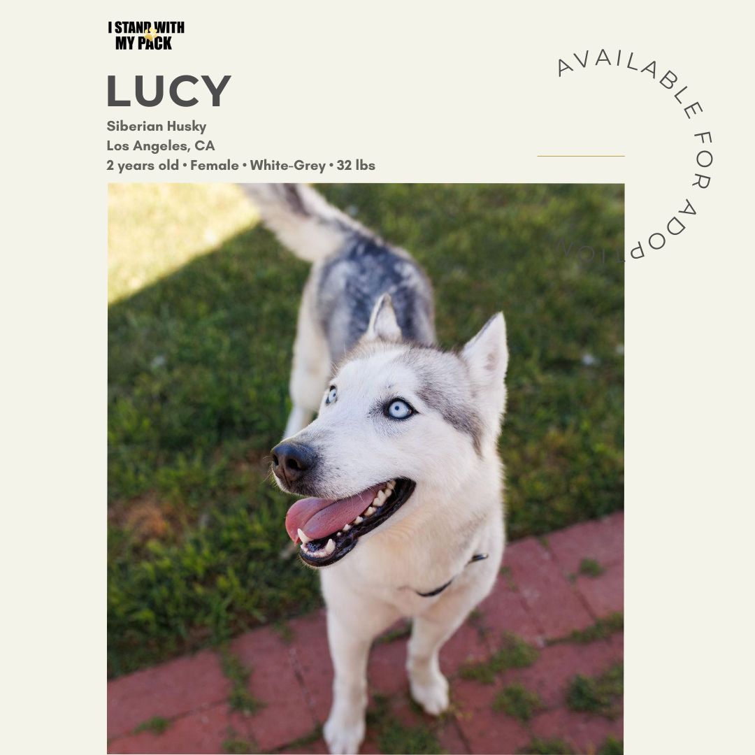 Lucy-1